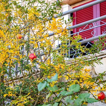 το πέτρινο 2 Apartamento
