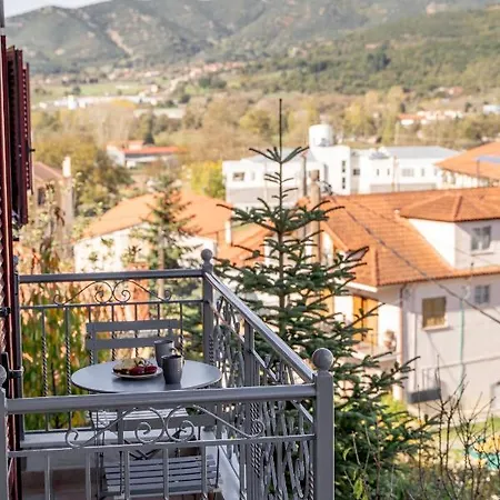 Apartment το πέτρινο 2 *